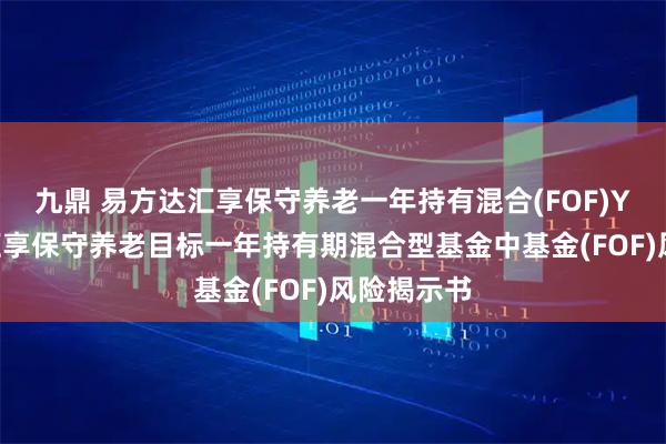 九鼎 易方达汇享保守养老一年持有混合(FOF)Y: 易方达汇享保守养老目标一年持有期混合型基金中基金(FOF)风险揭示书