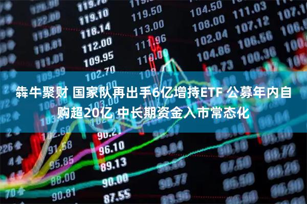 犇牛聚财 国家队再出手6亿增持ETF 公募年内自购超20亿 中长期资金入市常态化